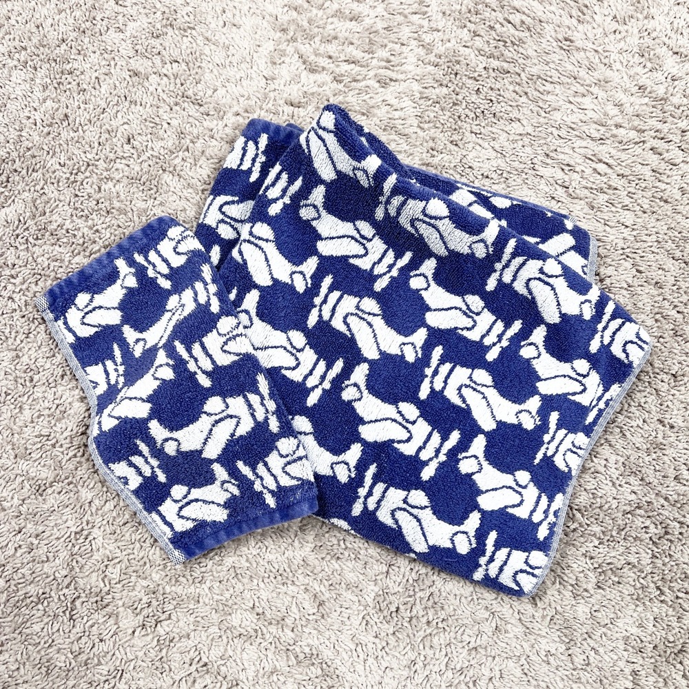 Pottery Barn Kids Airplane Print Navy Blue Cotton Bath Towel & Washcloth Set